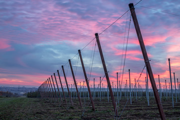 Pfosten im Sonnenaufgang