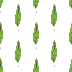 Seamless background with green oblong leaves on white background. Endless pattern for your design. Vector.