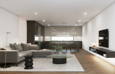 Modern living room with kitchen area