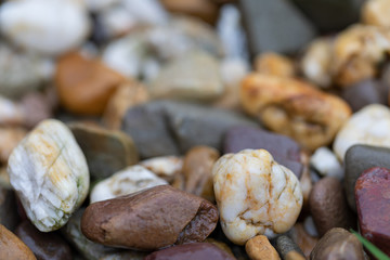 close-up of a mixture of pebbles in different color