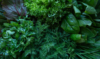 Dill leaves, green salad, spinach, parsley, beet leaves. Close-up. Still life. Background