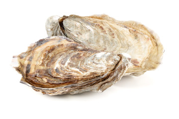 Fresh oysters isolated on a white background