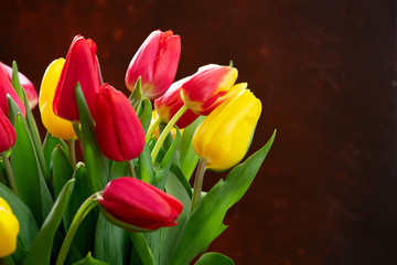 red and yellow tulips