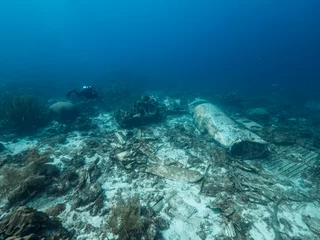 Foto op Aluminium Elvin's Plane Wreck in coral reef of Caribbean sea around Curacao © NaturePicsFilms