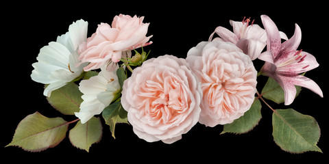 Pastel pink roses and lily isolated on black background. Line floral arrangement, bouquet of garden...