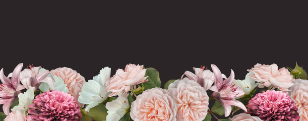 Border floral banner, header with copy space. Pastel pink roses, zinnia and lily isolated on dark...