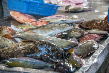 Fish market with fresh sea food