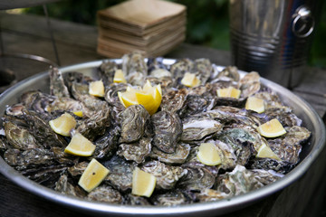 Oysters