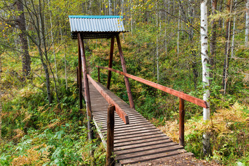 Fototapeta na wymiar Wooden bridge over a ravine in the forest