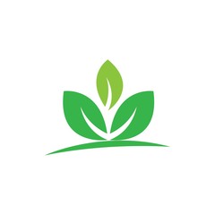 Green leaf logo