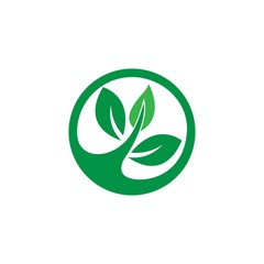 Green leaf logo