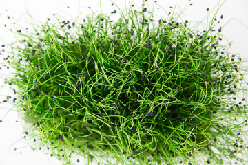 Onion micro greens. Overhead shot of the green sprouts on the white background.