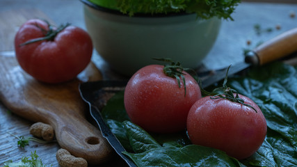 Tomato, green salad and spinach leaves on the table. Still life