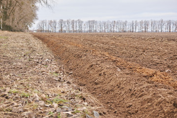 Plowed field of land. Farming concept.
