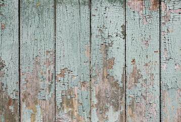 Old shabby wooden planks with cracked color paint.