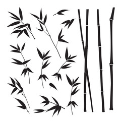 Set of tropical bamboo elements. Collection of palm leaves on a white background. Vector illustration bundle.