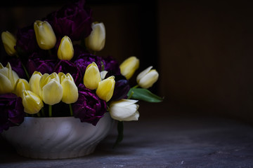 beautiful natural tulips close up view