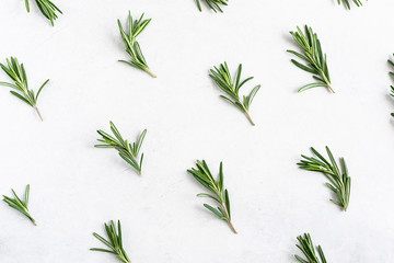 Natural wallpaper with aromatic rosemary twigs. Rosemary pattern on white marble background. Flat lay overhead composition.