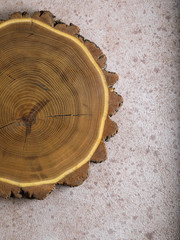 Wood cut on light rust textured background. Copy space.