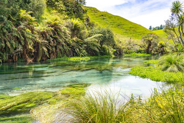 Fototapeta na wymiar Blue Spring Putaruru, New Zealand