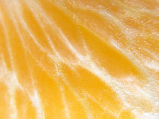 Background or texture from slice of orange and burns. Orange bright color. Vitamins. Citrus.