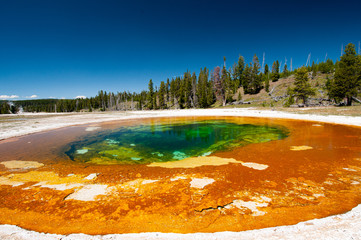 yellowstone