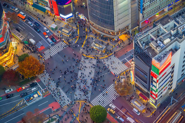 Shibuya Crossing from top view at night in Tokyo