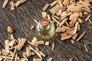 A bottle of cedar essential oil with pieces of cedar wood