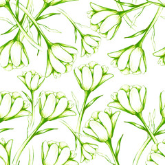 Fototapeta na wymiar Spring pattern with tulips, spring flower. March 8. green, olive Dutch tulips, vintage pencil drawing, hand drawing. field of tulips. Stock illustration. Background for wallpaper, textile, paper.