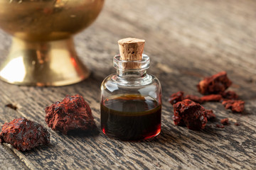 Croton lechleri, or sangre de drago oil and resin © Madeleine Steinbach