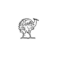 Turkey icon. Hind bird sign. Farm animal symbol. Logo design element