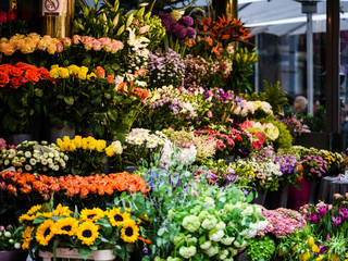 mix summer flowers close up view