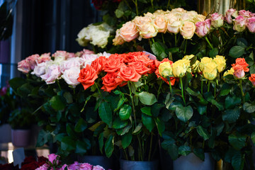 natural roses close up view