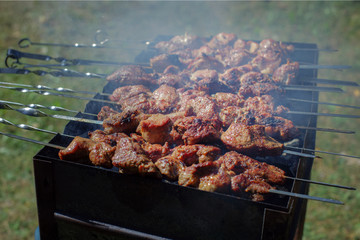 Grilled kebab cooking on metal skewer.Outdoor picnic.
