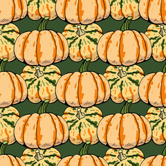 Seamless pattern with hand drawn carnival squashes. Endless texture with vegetables on dark green background for your design