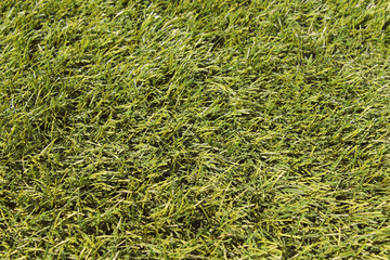 Artificial green grass. Top view. Close-up. Background. Texture.