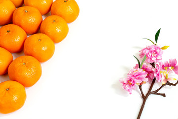Happy chinese new year or lunar new year. flowers of good fortune and oranges.
