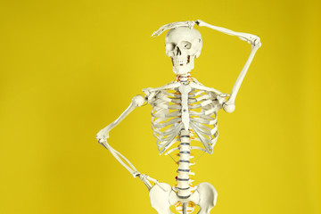Artificial human skeleton model on yellow background - obrazy, fototapety, plakaty