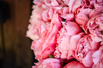 beautiful natural pink peonies close up