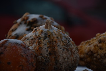 pumpkin