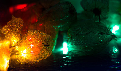 The skeletons of the fruit of physalis illuminated with garlands. The veins of the fruit with drops...