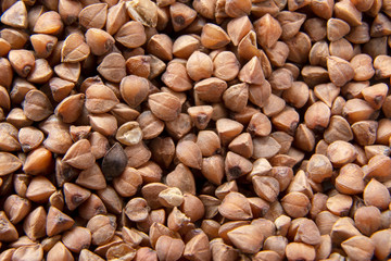 Buckwheat texture. Uncooked organic buckwheat grains as background, closeup