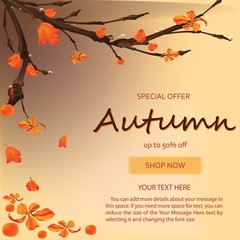 Autumn sale banner background with fall leaves   banner  for shopping sale or promo poster and frame leaflet or web banner.Vector illustration template