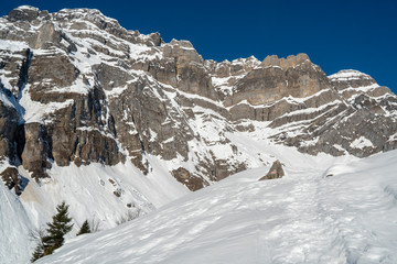 Alpine Schneeschuhwanderung