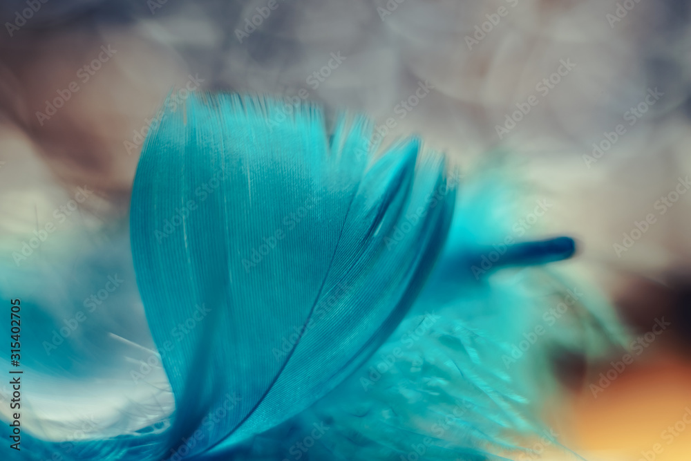 Aufkleber Close up Beautiful blue Bird feather pattern on a bokeh background for design texture.