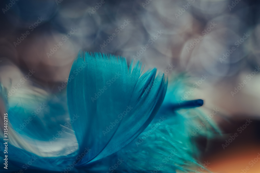 Poster Close up Beautiful blue Bird feather pattern on a bokeh background for design texture.