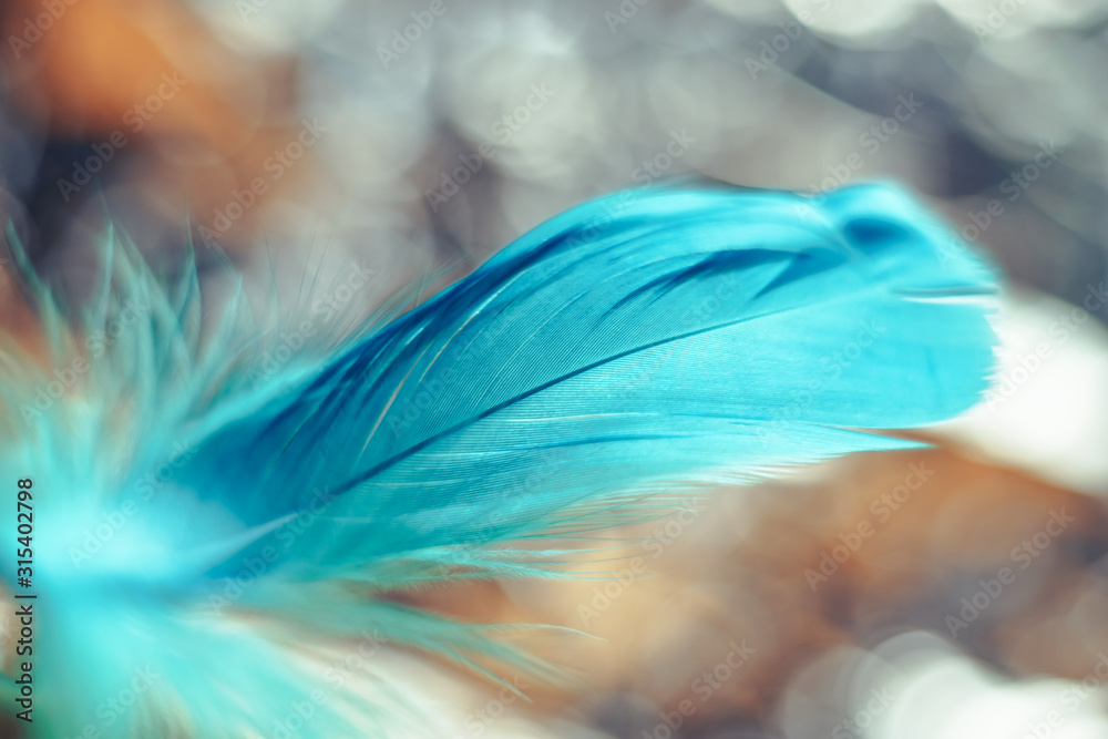 Poster Close up Beautiful blue Bird feather pattern on a bokeh background for design texture.