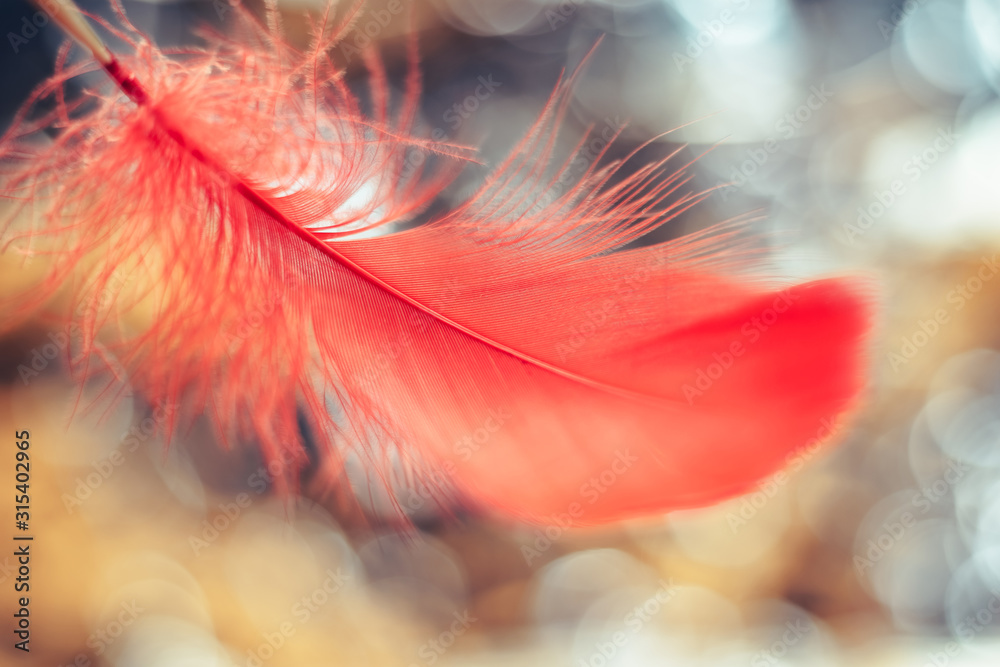 Poster Close up Beautiful Red Bird feather on a bokeh.  Pattern background for design texture.