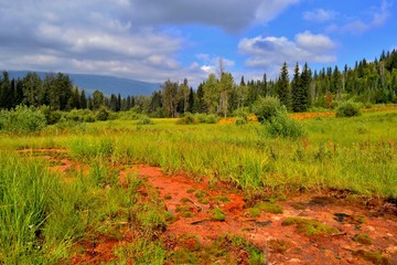 Mineral springs in Kootenay National Park, Canada. Beautiful colorful green and orange ground, blue...
