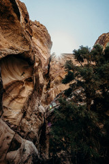 Jordan, desert landscape, ruins of petra, horse and desert, sand, stone, sun, perspective, landscape